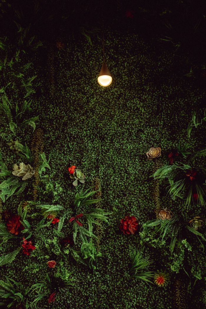 services-01 A beautifully lit vertical indoor garden with vibrant green foliage and colorful accents.
