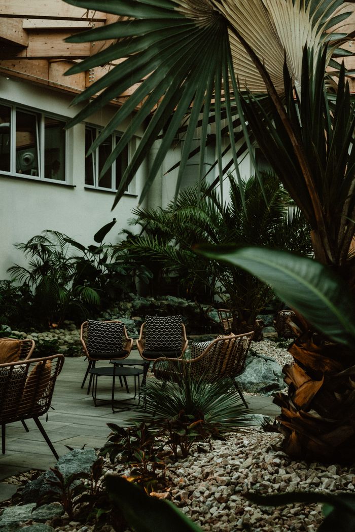 services-03 Lush indoor garden with tropical plants and rattan chairs. Cozy and natural setting.