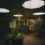 Modern atrium with potted plants and skylights creating a serene indoor garden environment.