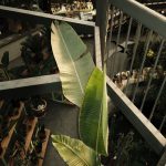 Aerial view of an indoor plant shop filled with various greenery and tropical plants.