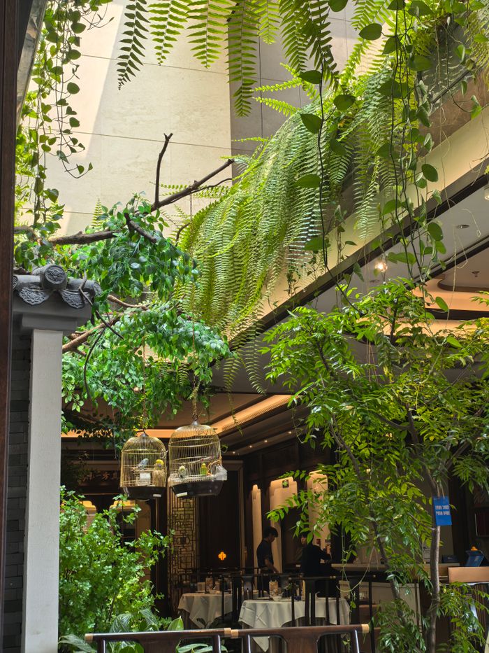 services-03 Indoor garden scene featuring lush ferns, greenery, and birdcages creating a tranquil atmosphere.