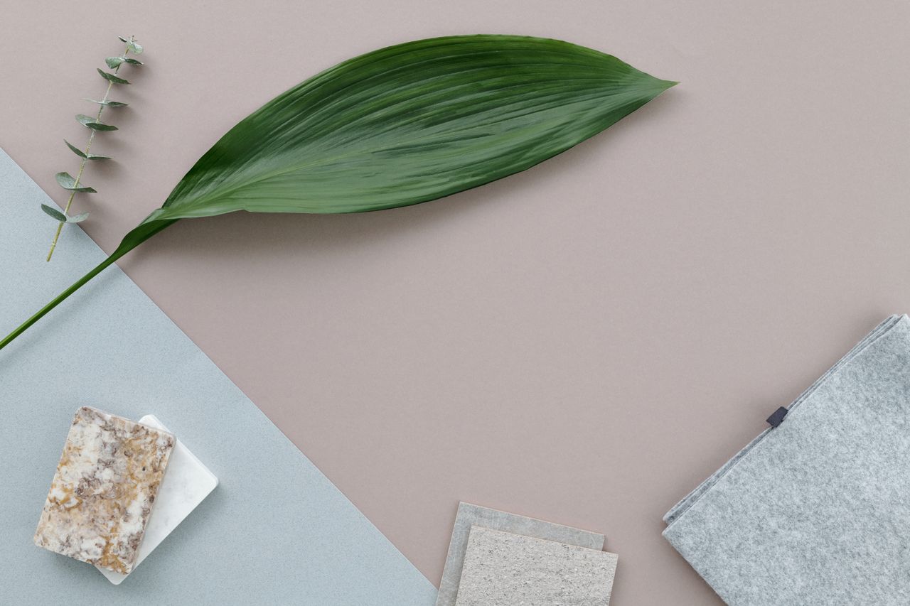 why-choose-us Aesthetic flat lay featuring a lush green leaf with textured materials on marble surface.
