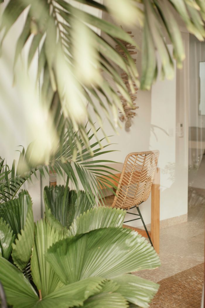hero-img-02 Serene interior with rattan chair surrounded by lush tropical plants.